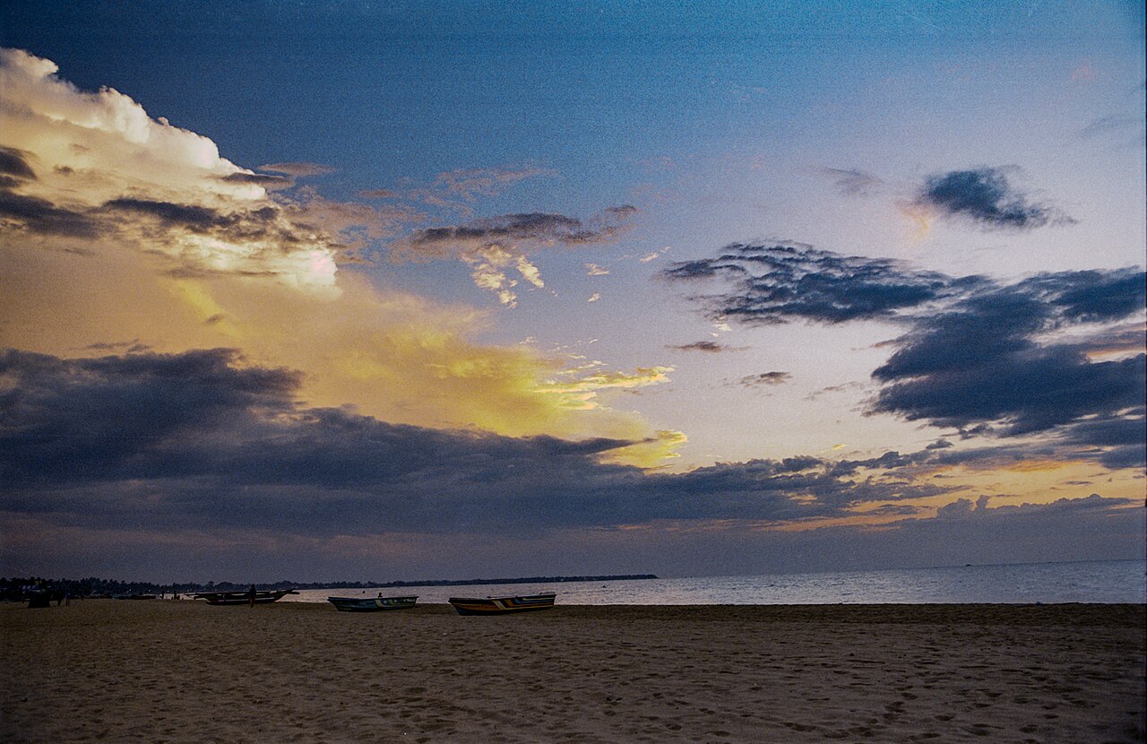 Sandy beach and palm trees along the shore at Beruwala, Sri Lanka.